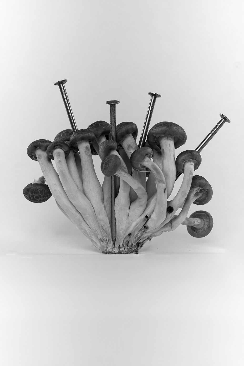 Een gezonde relatie met eten